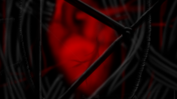Robot's Heart